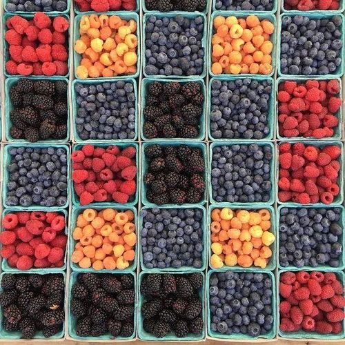 蓝莓 树莓 蔓越莓 黑莓 红黑加仑 你能分得清楚吗